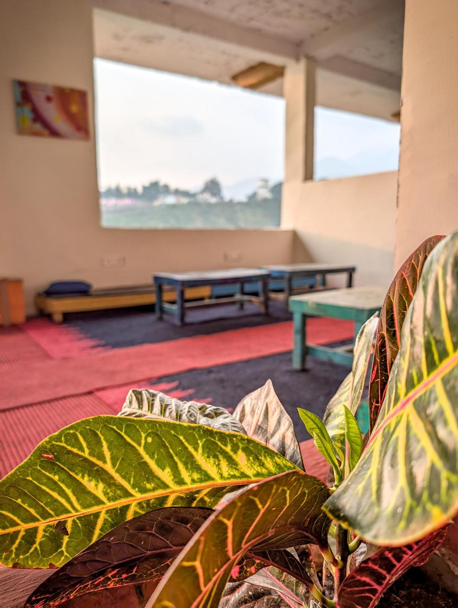 Hobo Hostel Дармсала Экстерьер фото