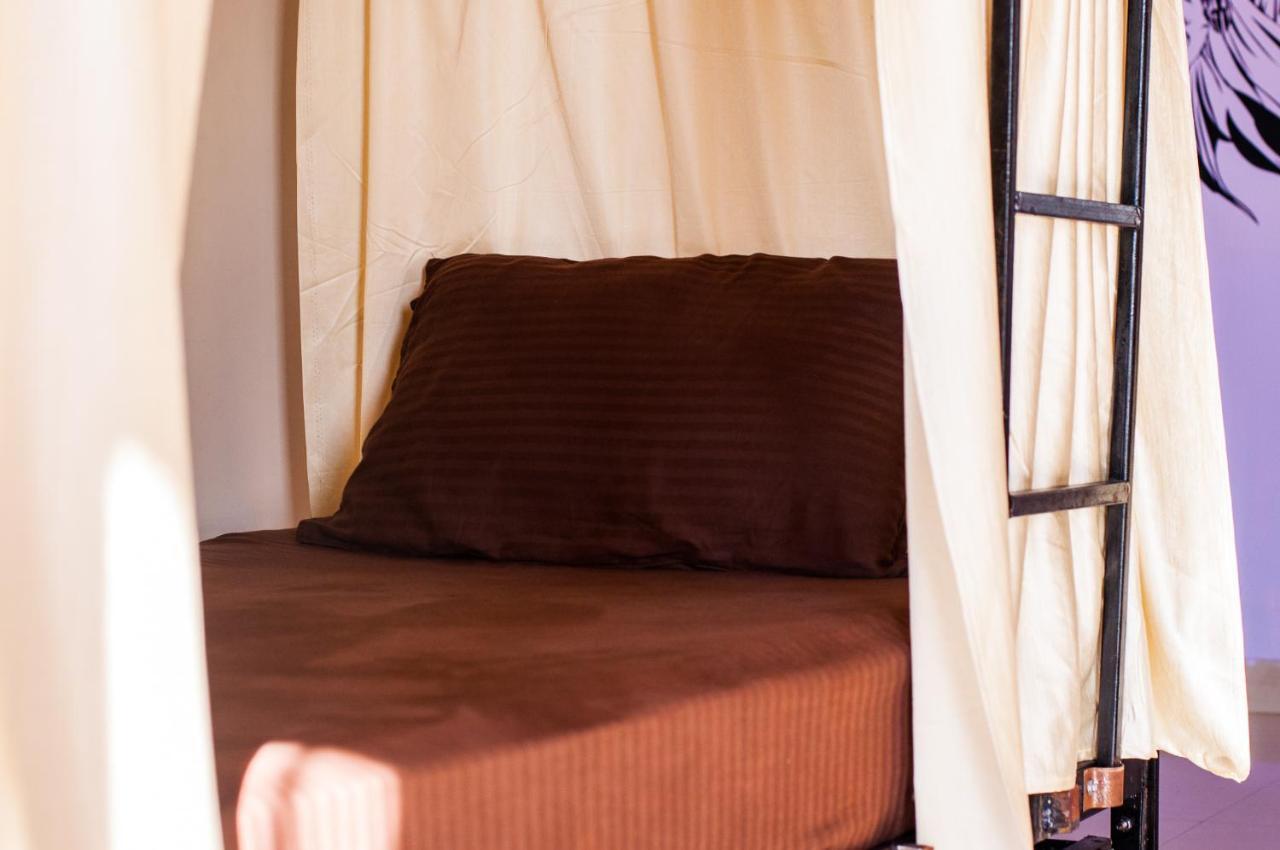 Hobo Hostel Дармсала Экстерьер фото